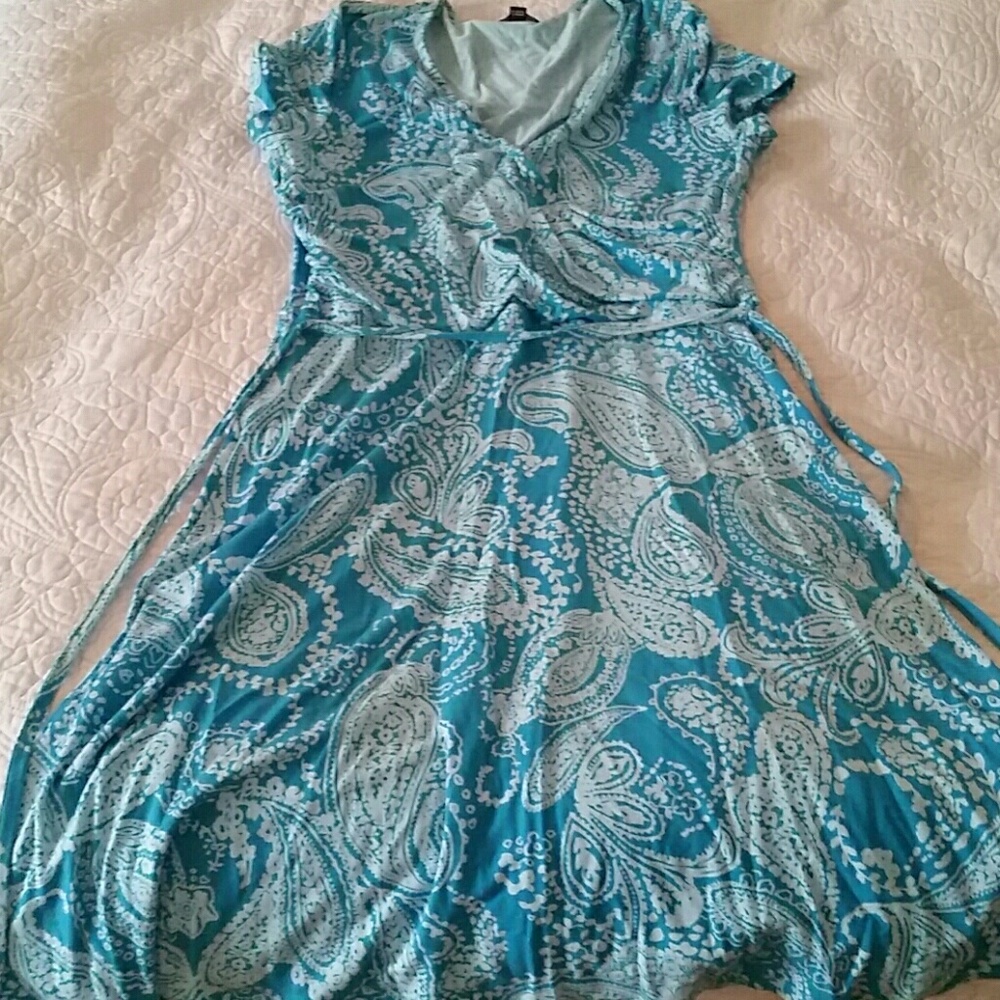 Gorgeous Lands' End dress